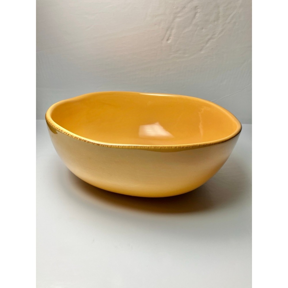 Elemental Honey by Pier 1 Earthenware 11" Round Serving‎ Bowl Discontinued